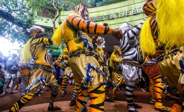 A Glimpse Into The Way Of The Tiger At The  Thrissur Pulikali