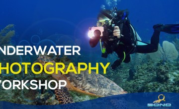Keralaâ€™s First Underwater Photography Workshop