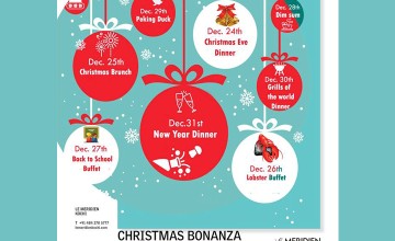 Christmas Bonanza - Food and Fun