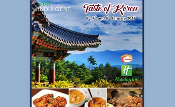 Taste Of Korea - Food Fest