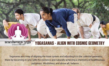 Yogasanas - Hatha Yoga Workshop