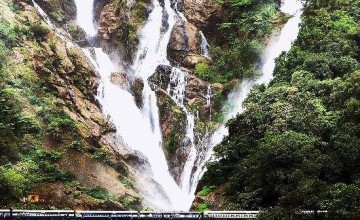 Monsoon Trek To Dudhsagar Waterfalls!