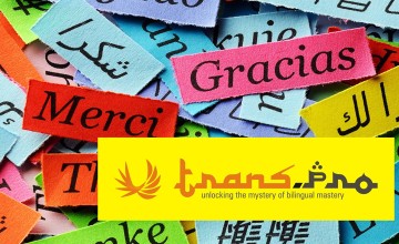 8 Days Intensive Residential Arabic /English Translation Workshop