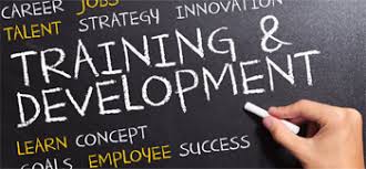 Career Development Training Program
