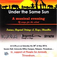 Musical evening-Under the Same Sun