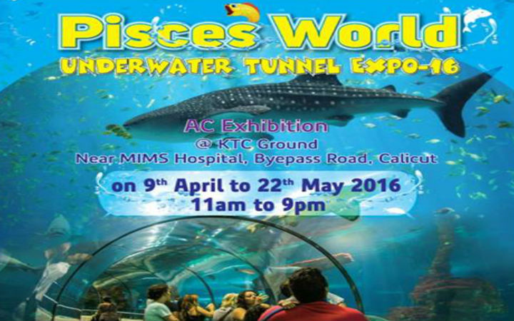 Pisces World Expo