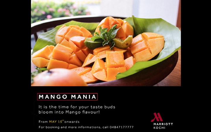 Mango Mania - Food Fest