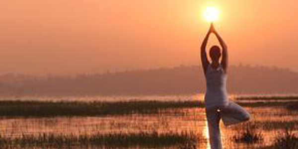 Yoga Wellness Immersion in South INDIA  