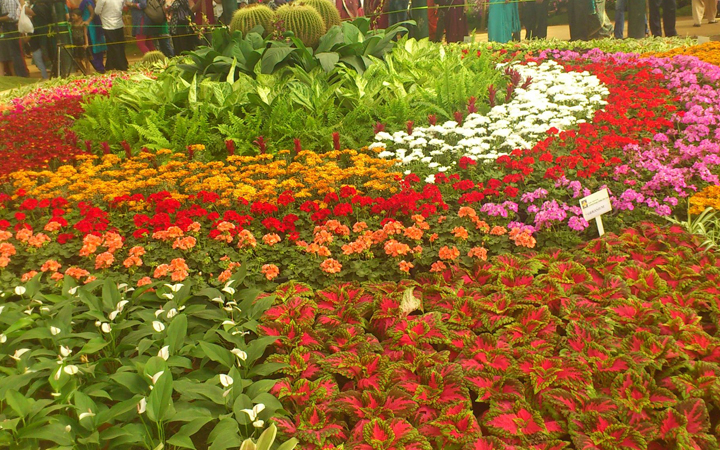 35th Cochin Flower Show
