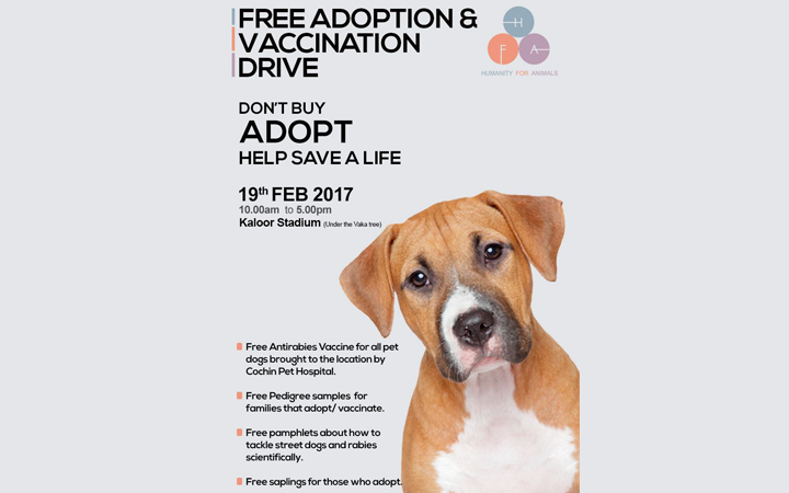 Free Adoption and Vaccination Drive