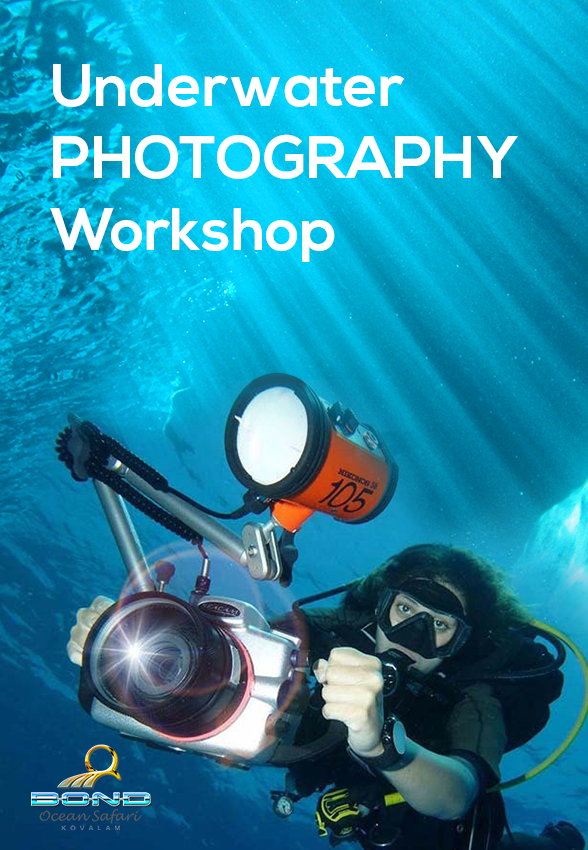 Underwater Photography Workshop in Calicut